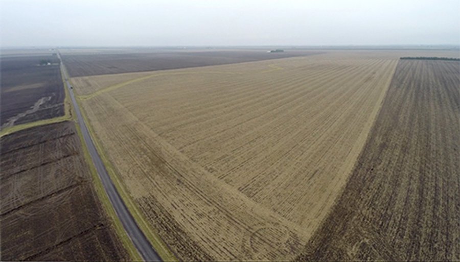 LAND AUCTION - 241.8+/- ACRES OFFERED IN 3 TRACTS IN SHELBY COUNTY, IL